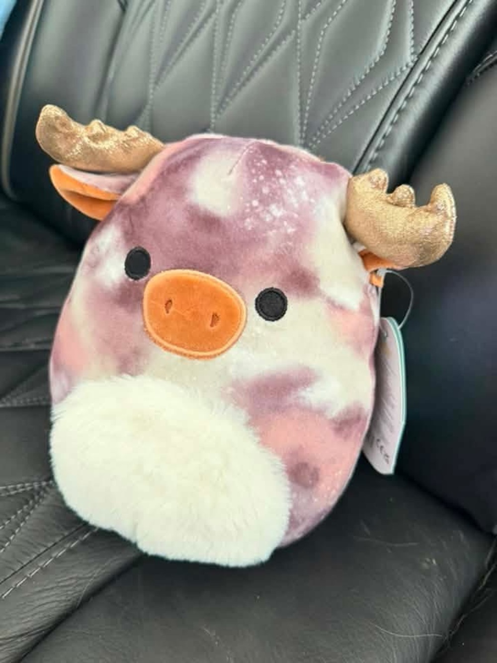 NWT Squishmallow